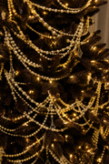 The Pearl Garland